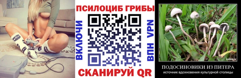 Псилоцибиновые грибы прущие грибы  нарко площадка клад  Тбилисская 